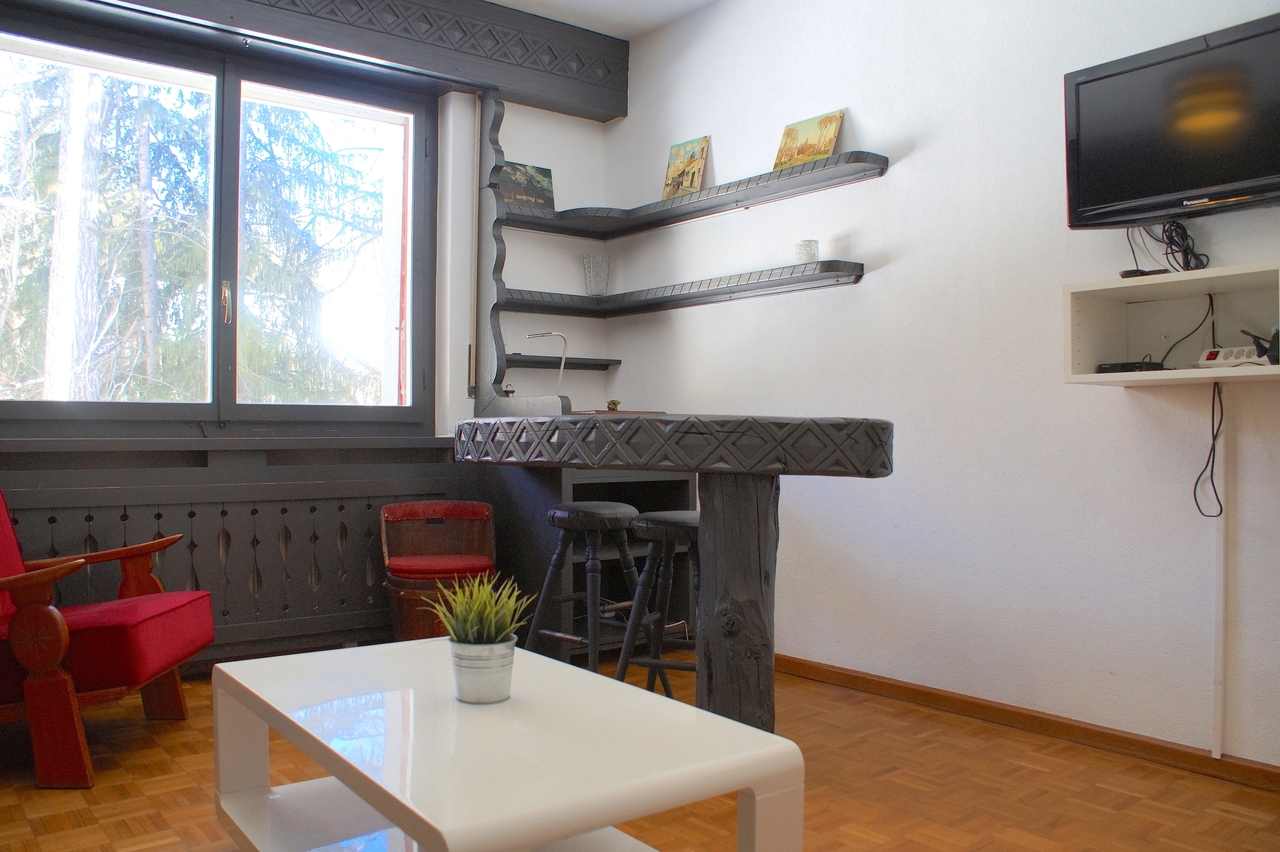 1 room apartment