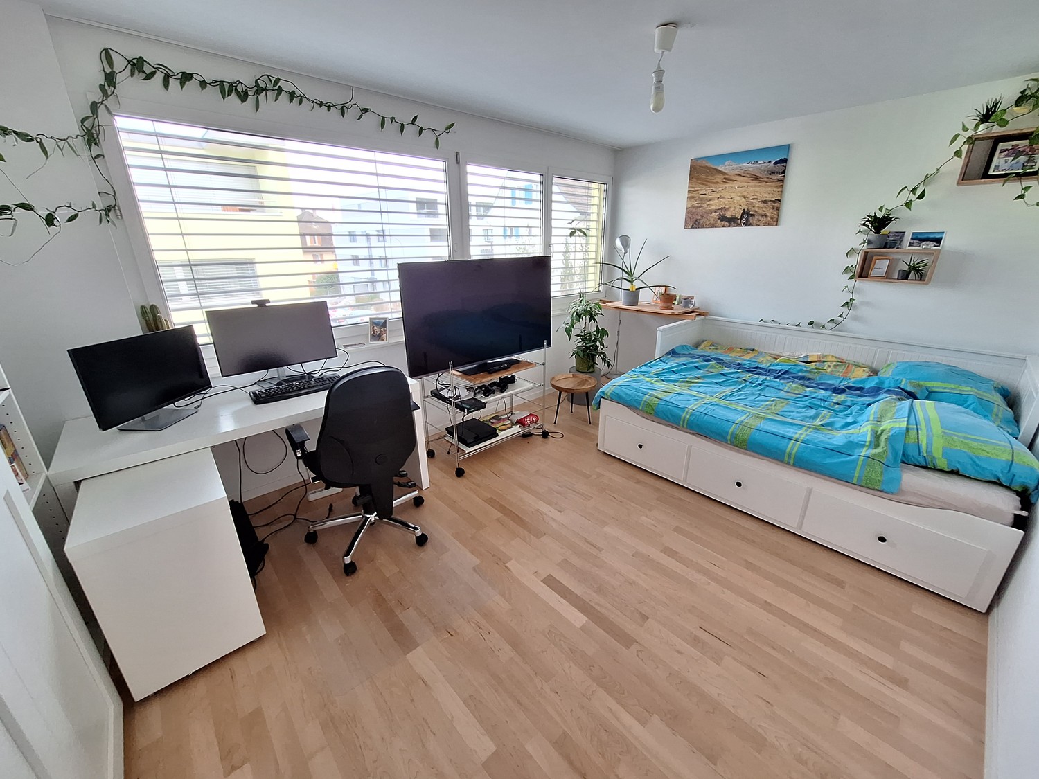 Room in a shared flat