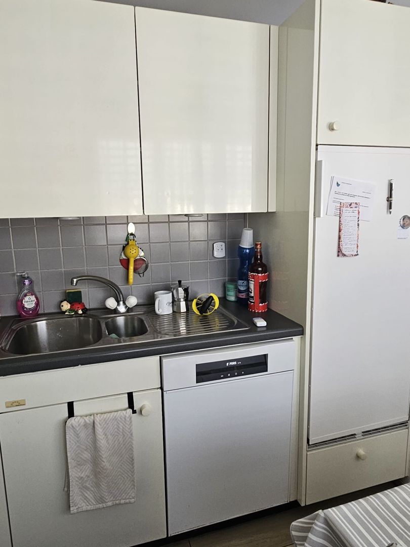 4 ½ Zimmer Wohnung (5)