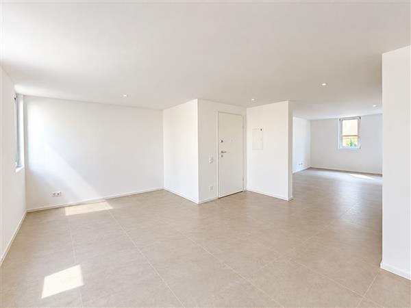 4 ½ Zimmer-Wohnung