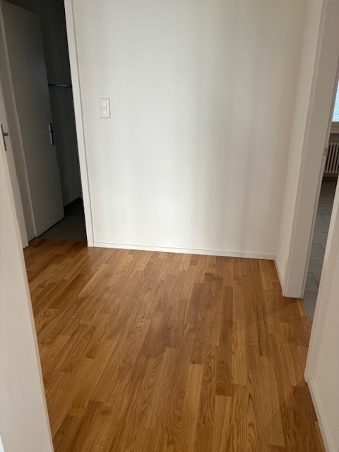 1 rooms apartment