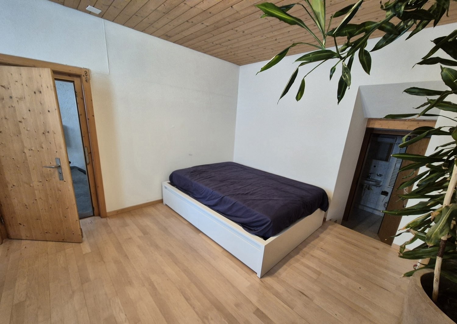 Appartement meublé de 2 ½ pièces