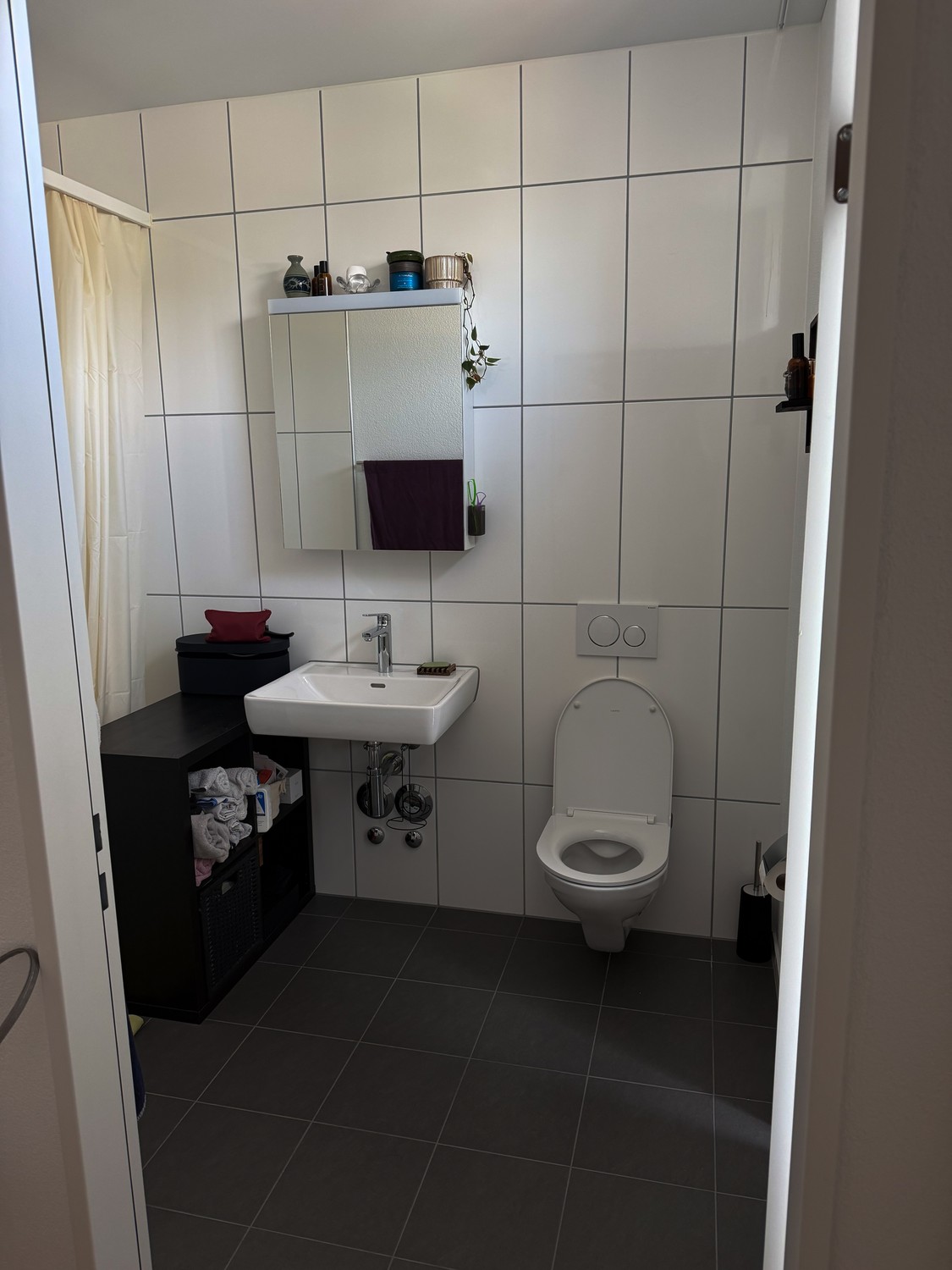 2 ½ Zimmer Wohnung, Foto 3 von 6