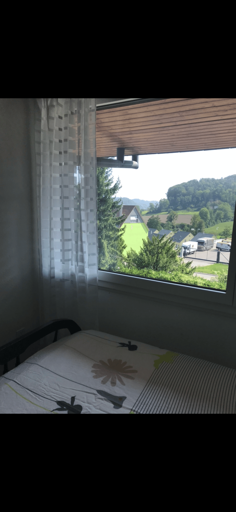 Room in a shared flat