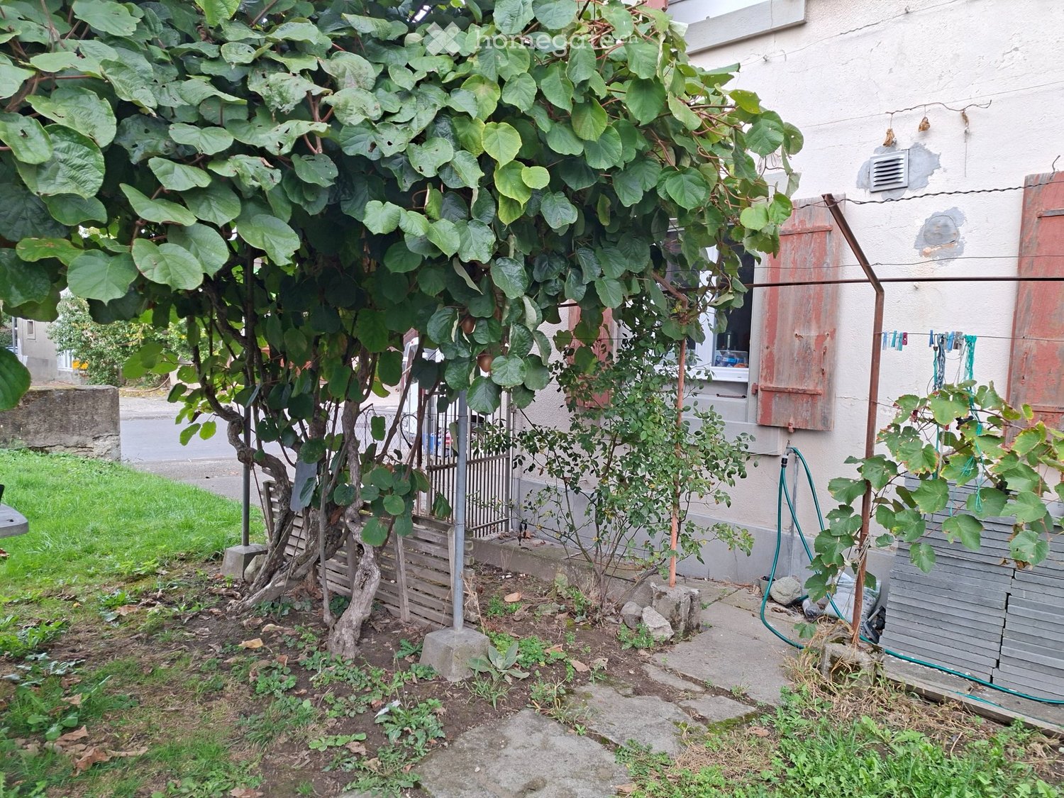 2-Zimmer-Wohnung