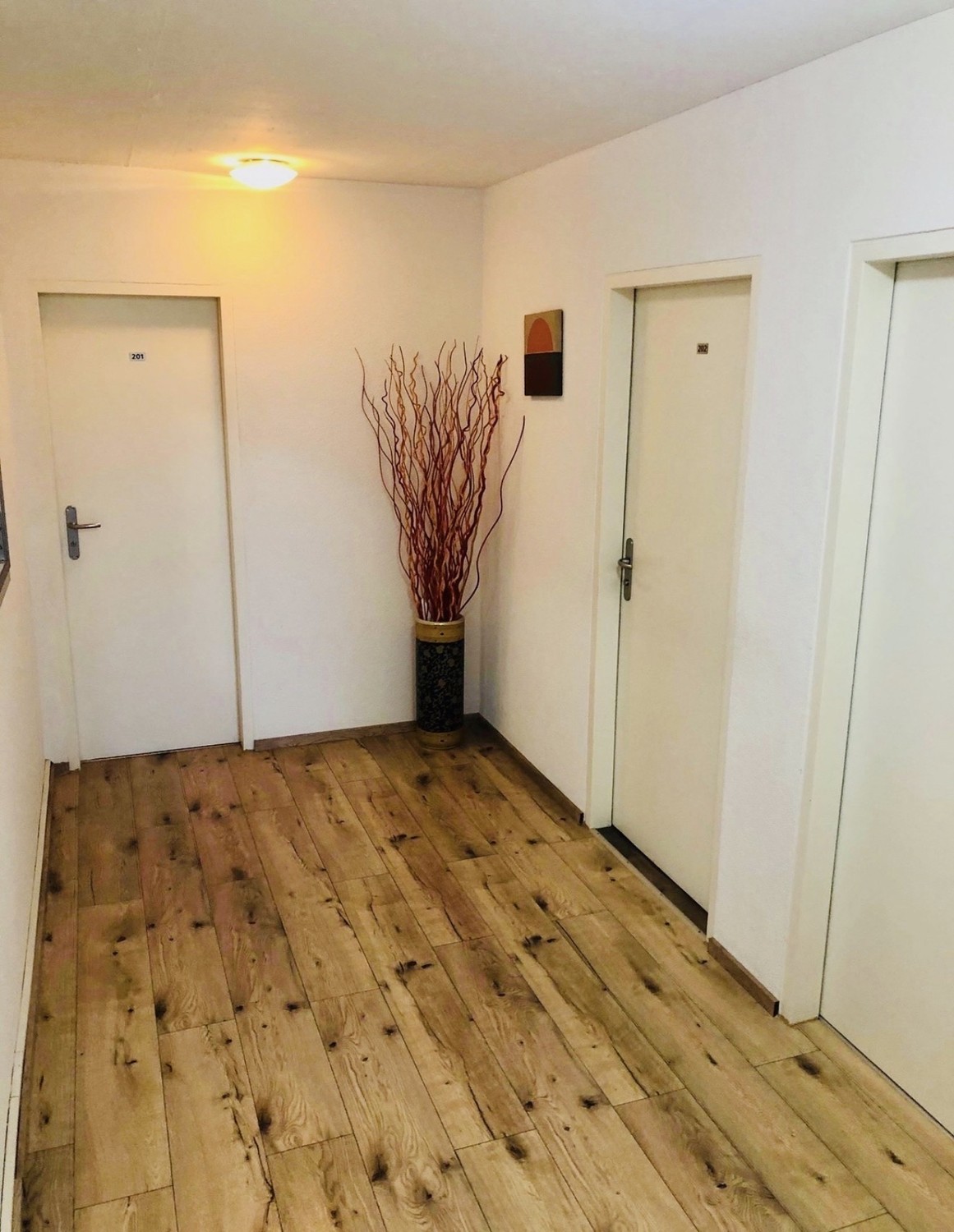 Chambre en colocation