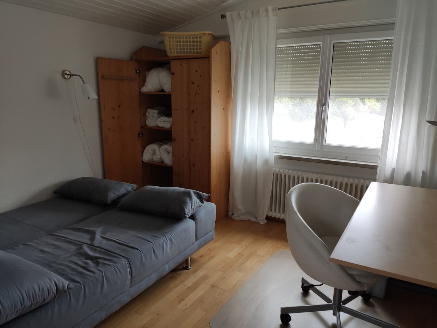Room in a shared flat