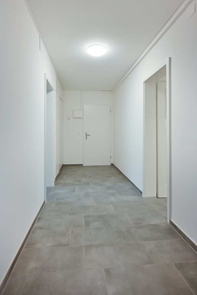 appartamento di 3 locali
