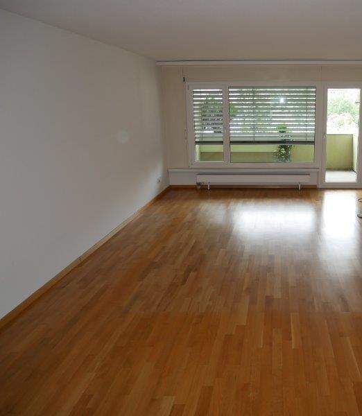 4 ½ rooms apartment (2)
