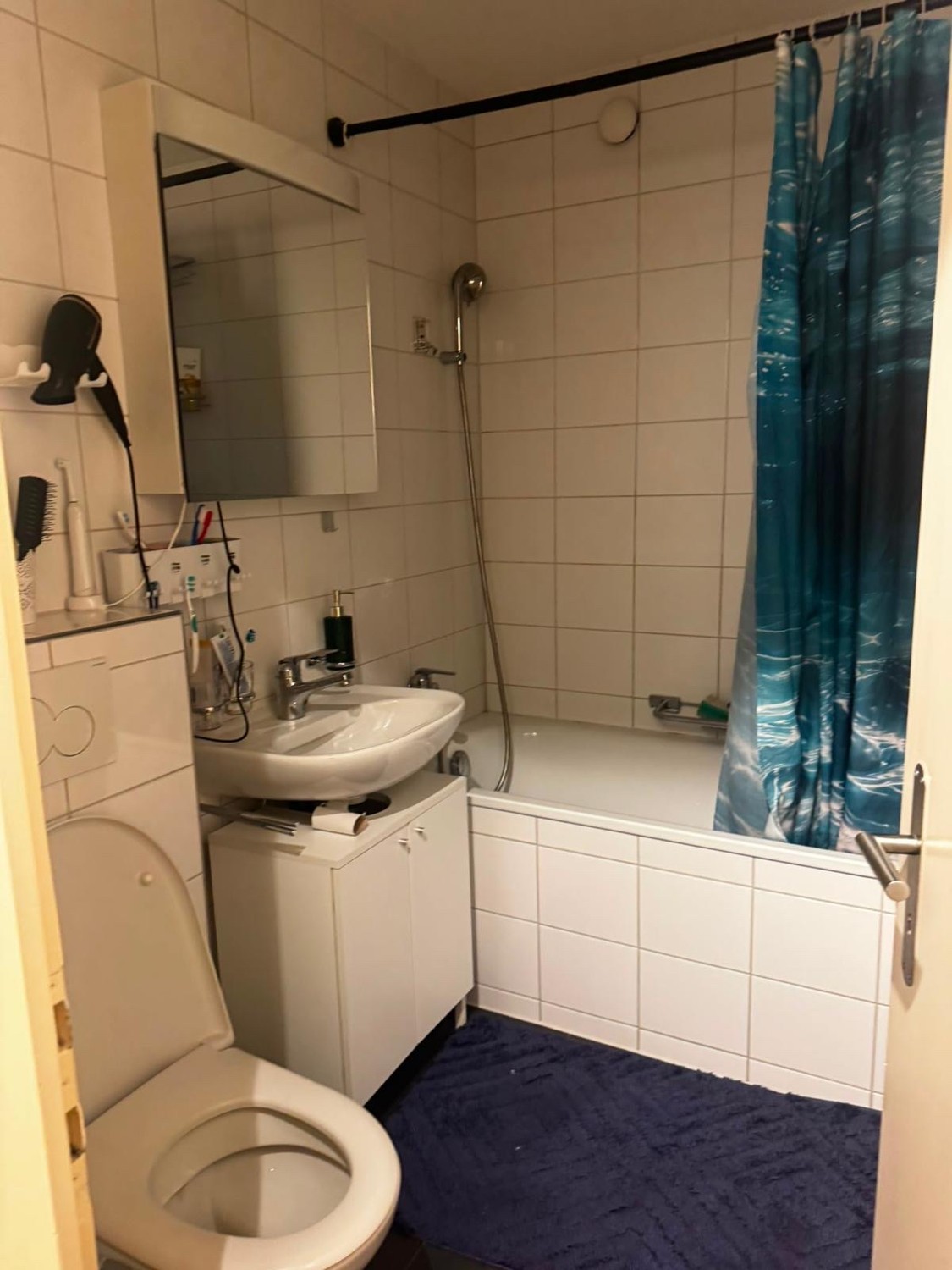 Appartement de 3 ½ pièces