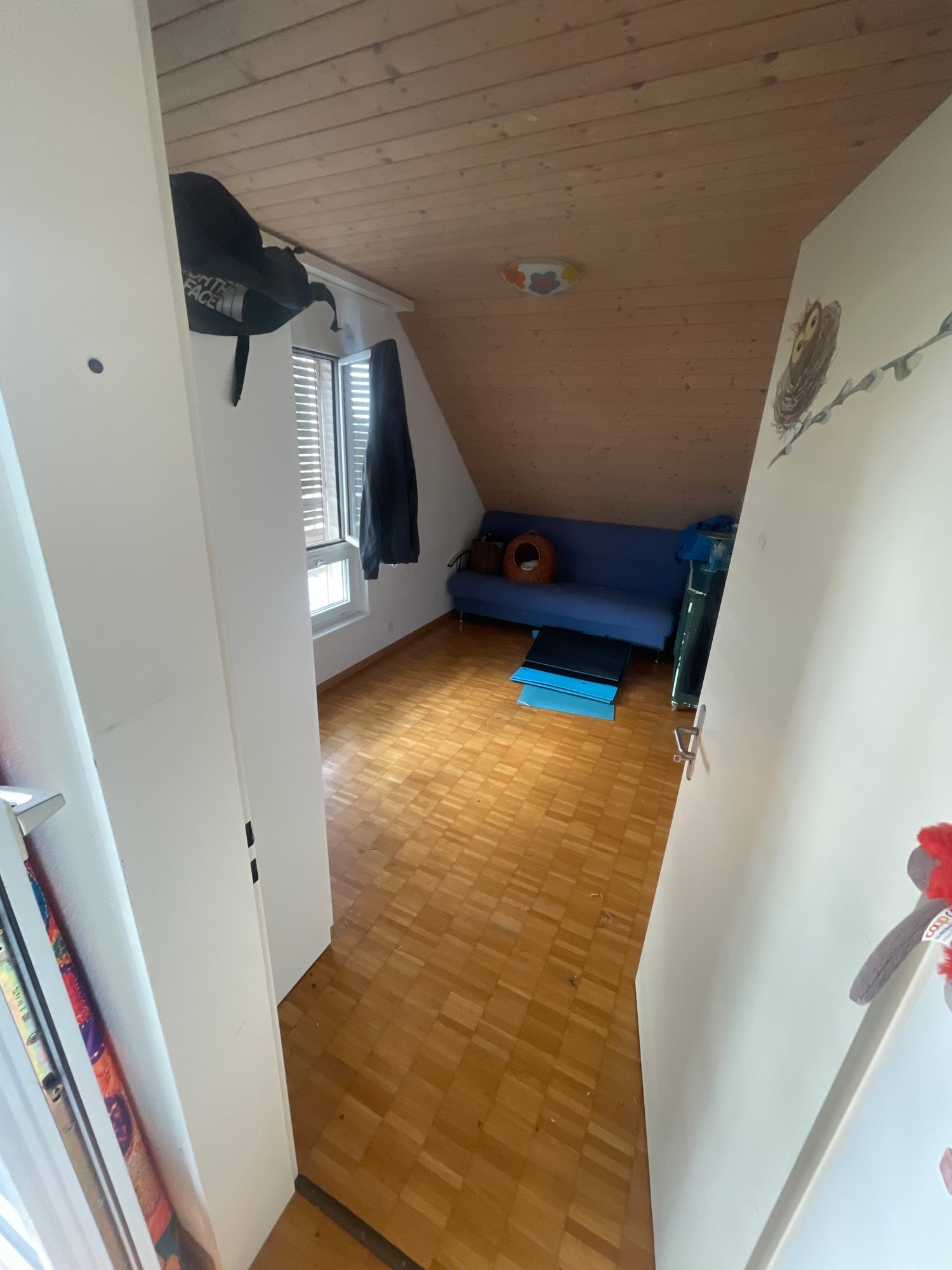 Room in a shared flat