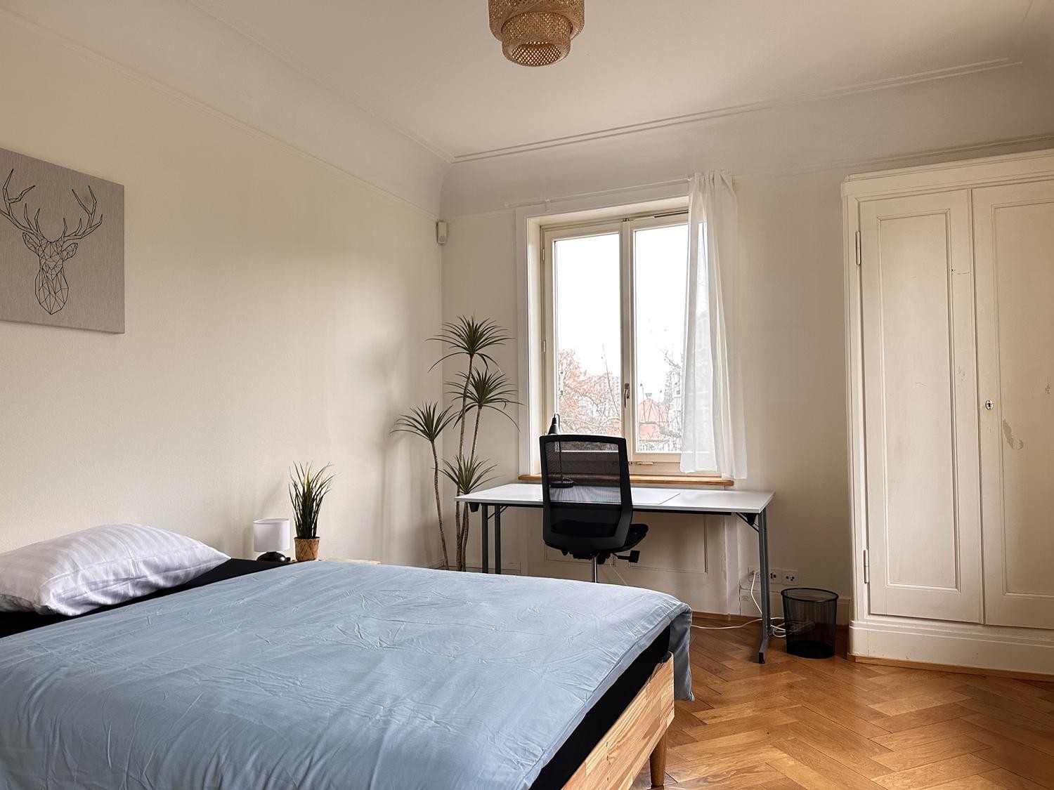 Chambre dans un appartement partagé
