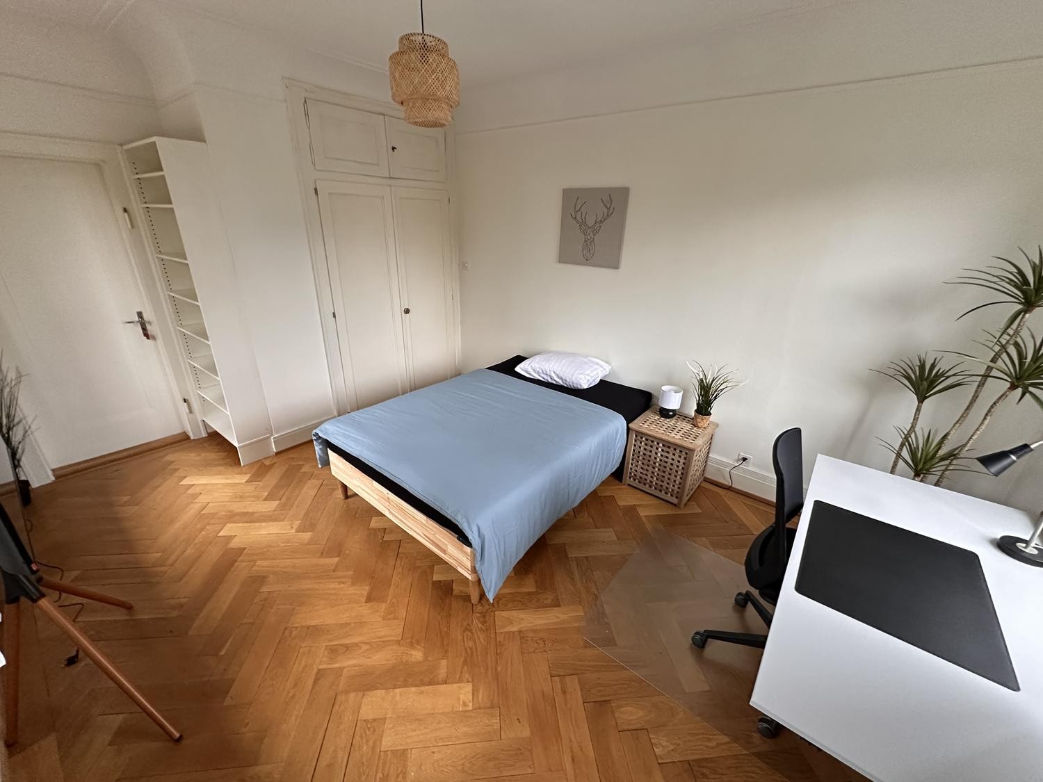 Chambre dans un appartement partagé