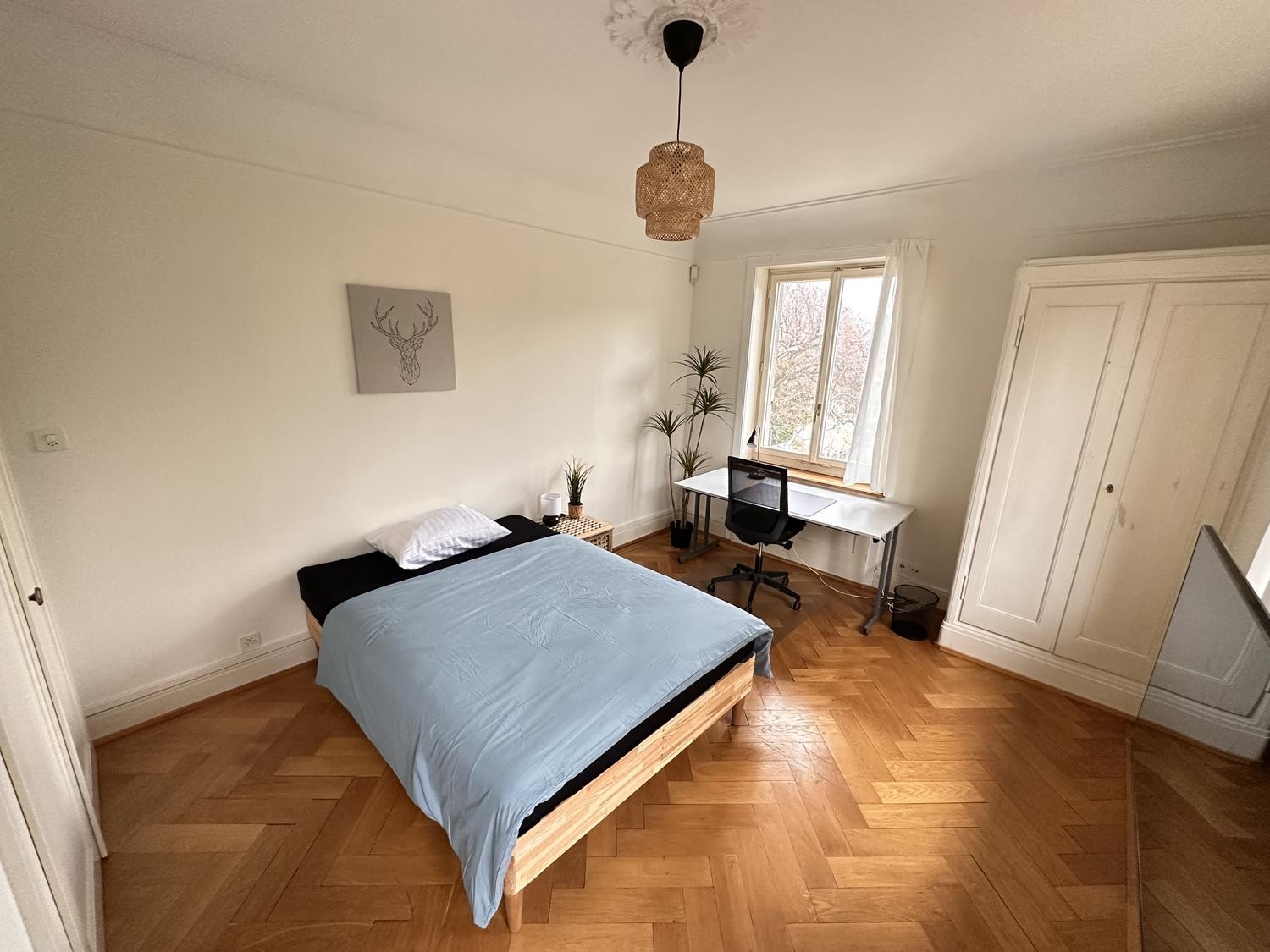 Chambre dans un appartement partagé