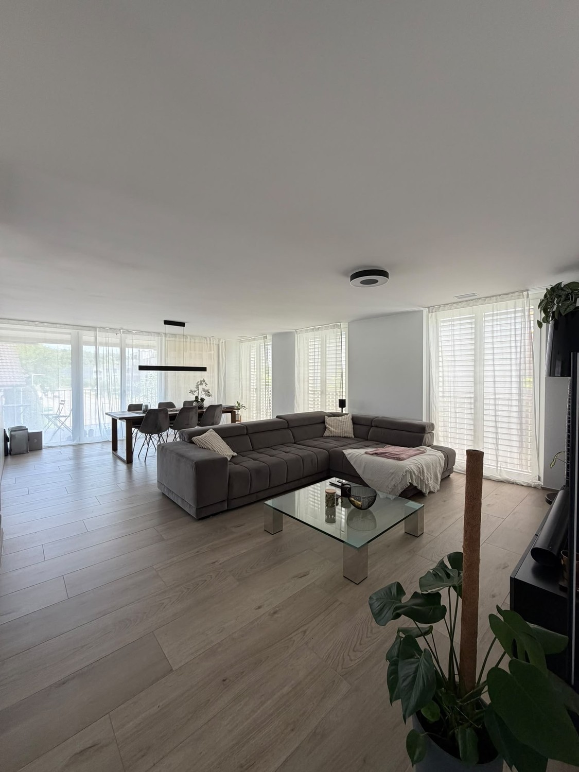 Appartement de 3 ½ pièces