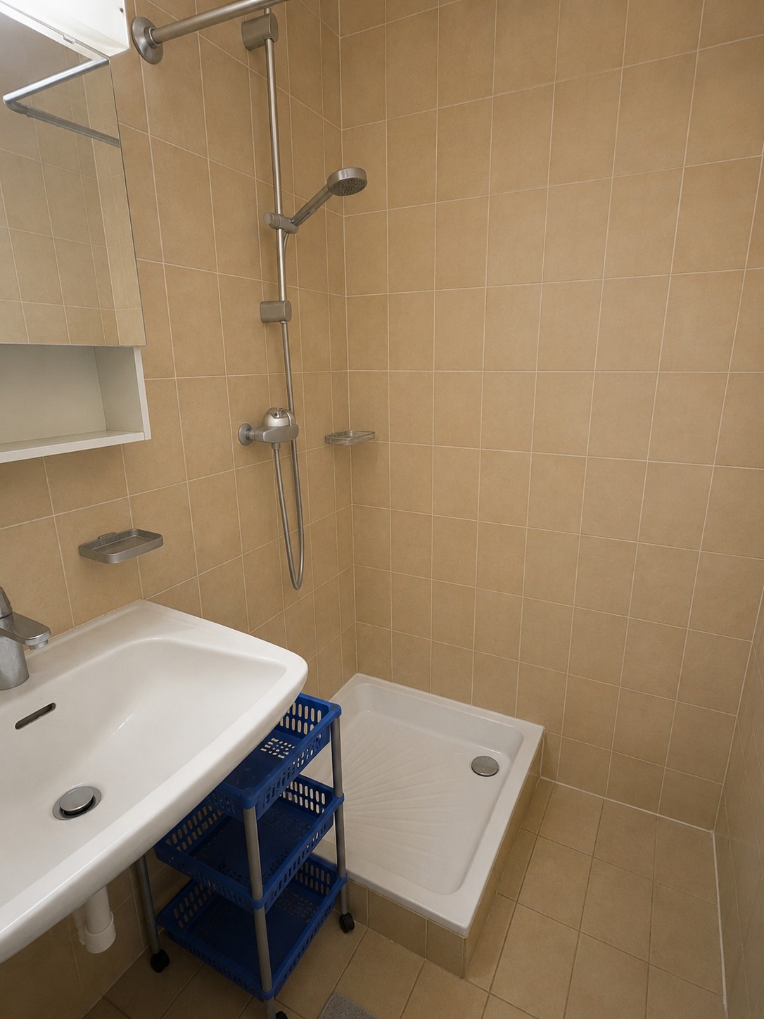 1 ½ rooms apartment, photo 5 sur 5