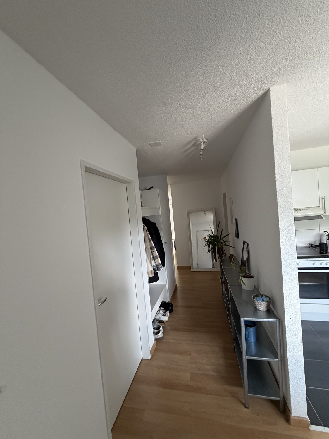 Appartamento di 3 ½ locali, foto 2 di 6