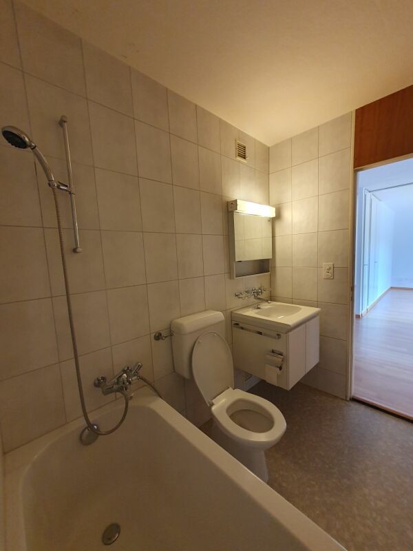 Appartamento di 2 ½ locali