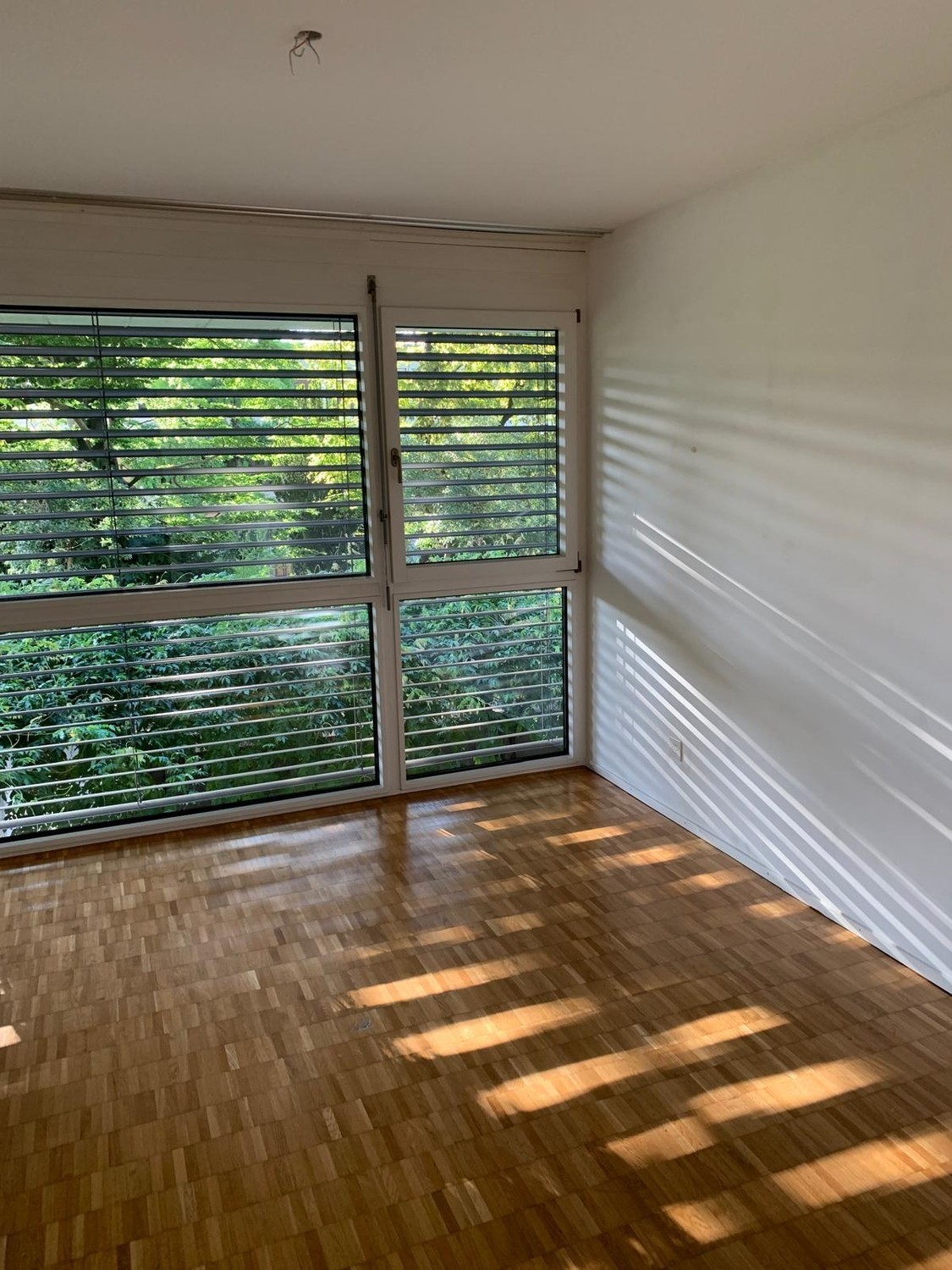Zimmer in einer WG, Foto 6 von 6