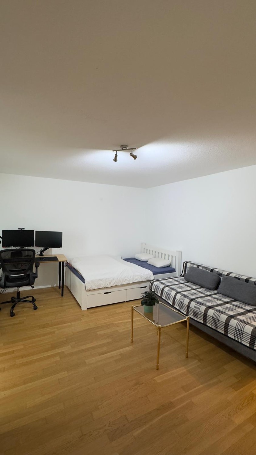 1 ½ Zimmer-Wohnung
