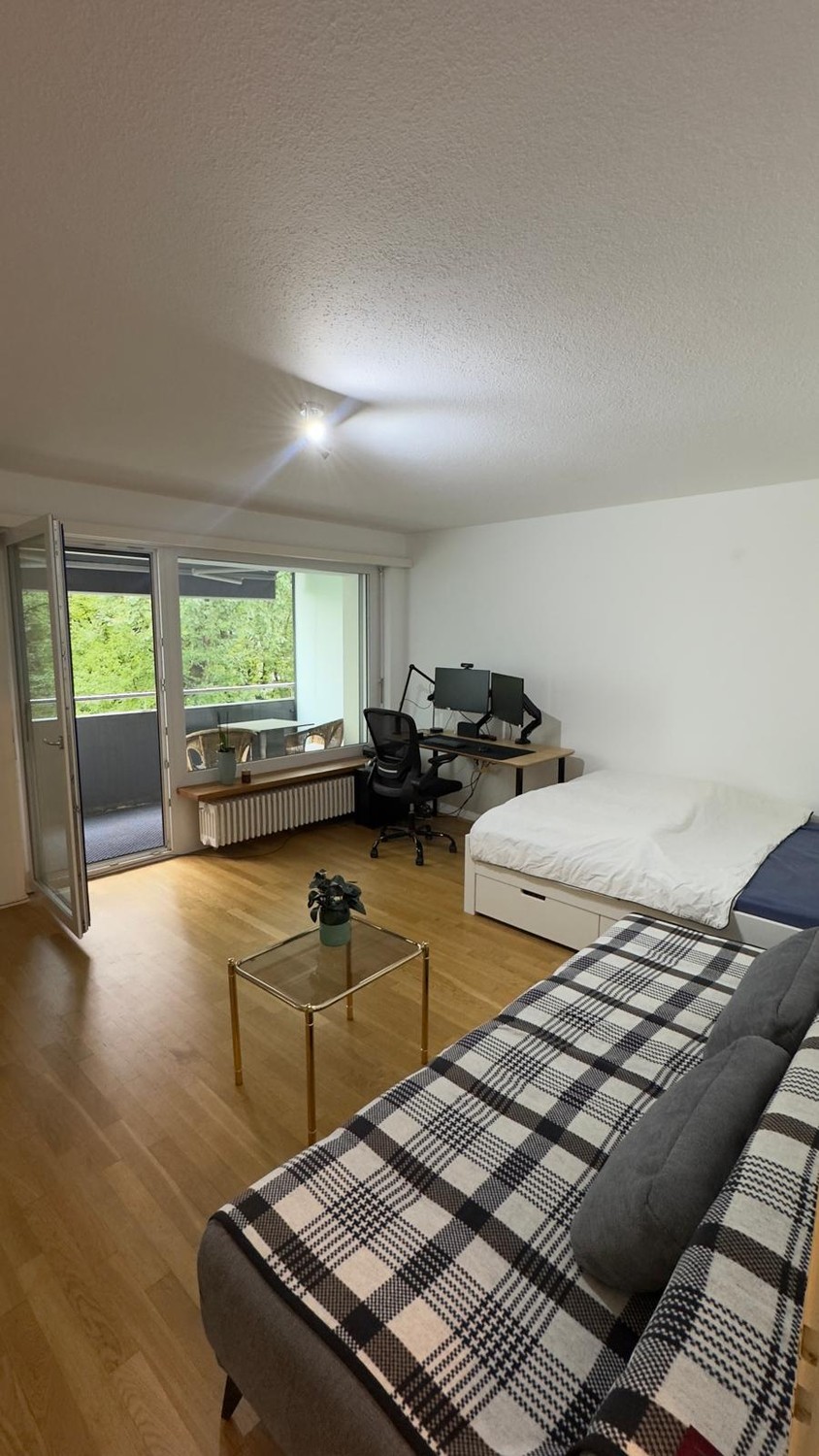 1 ½ Zimmer-Wohnung