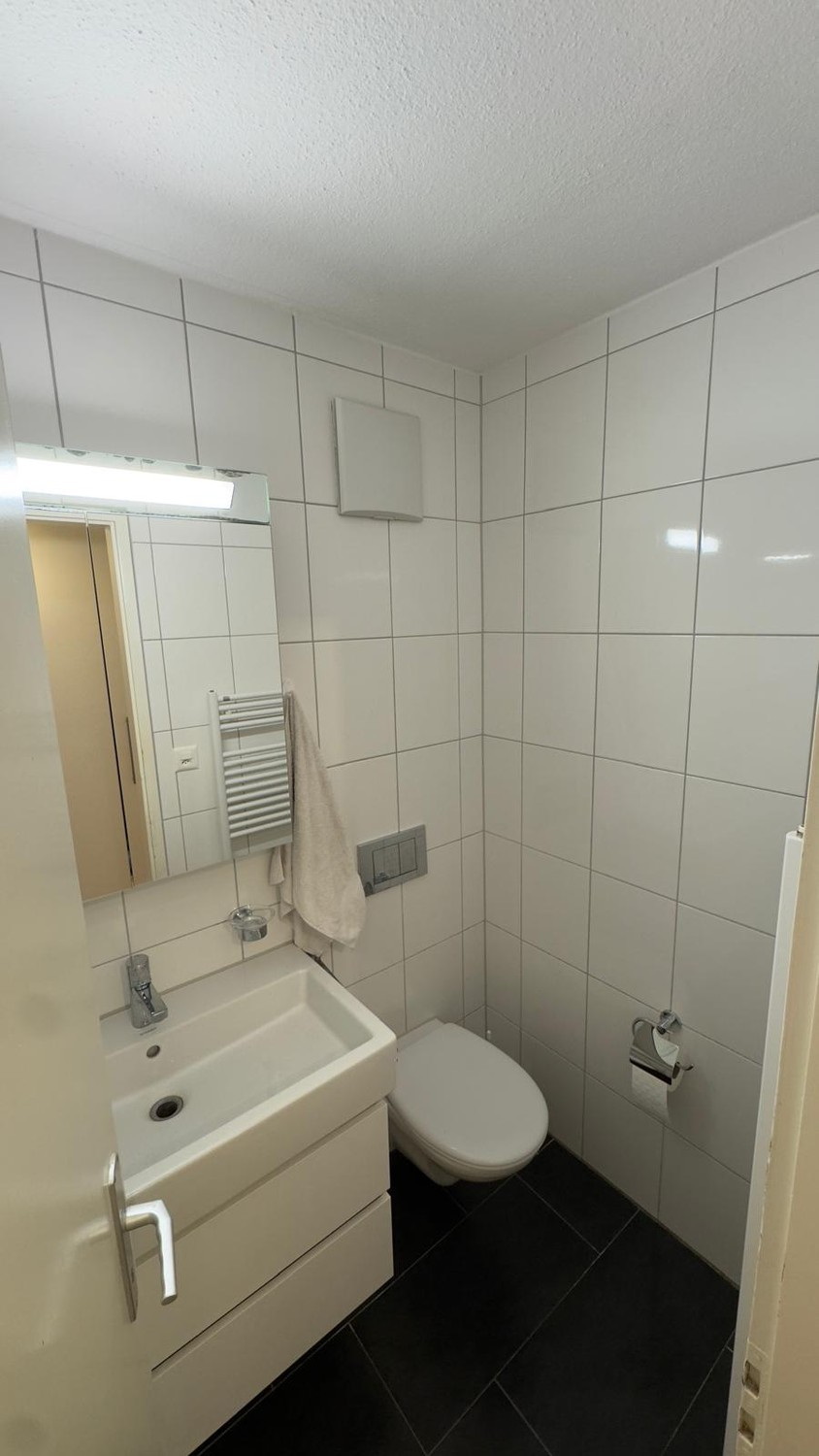 1 ½ Zimmer-Wohnung