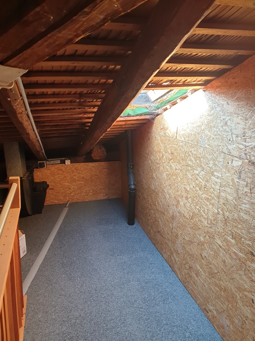 2 ½ rooms apartment, Foto 5 von 6