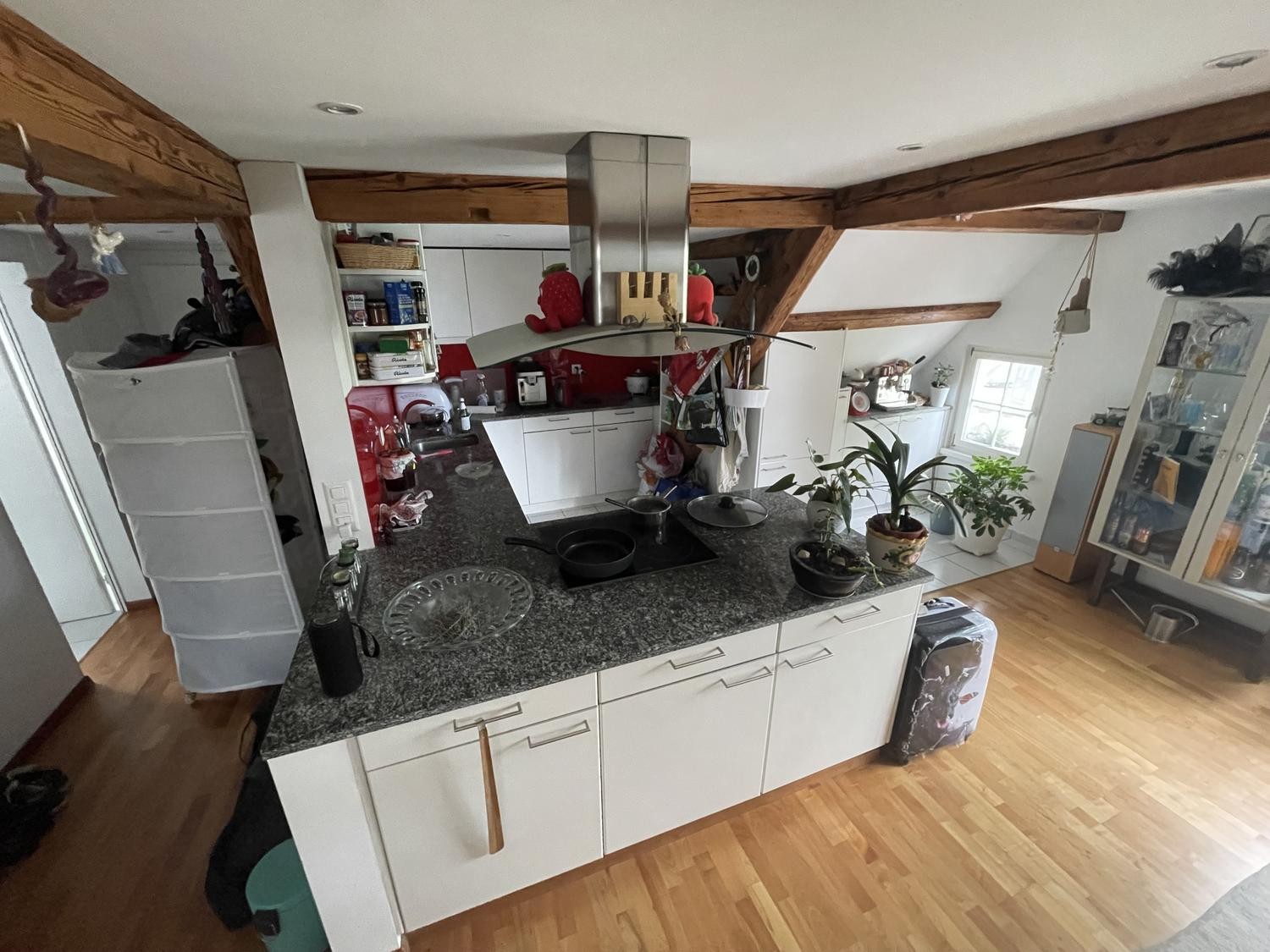 Appartement de 5 ½ pièces