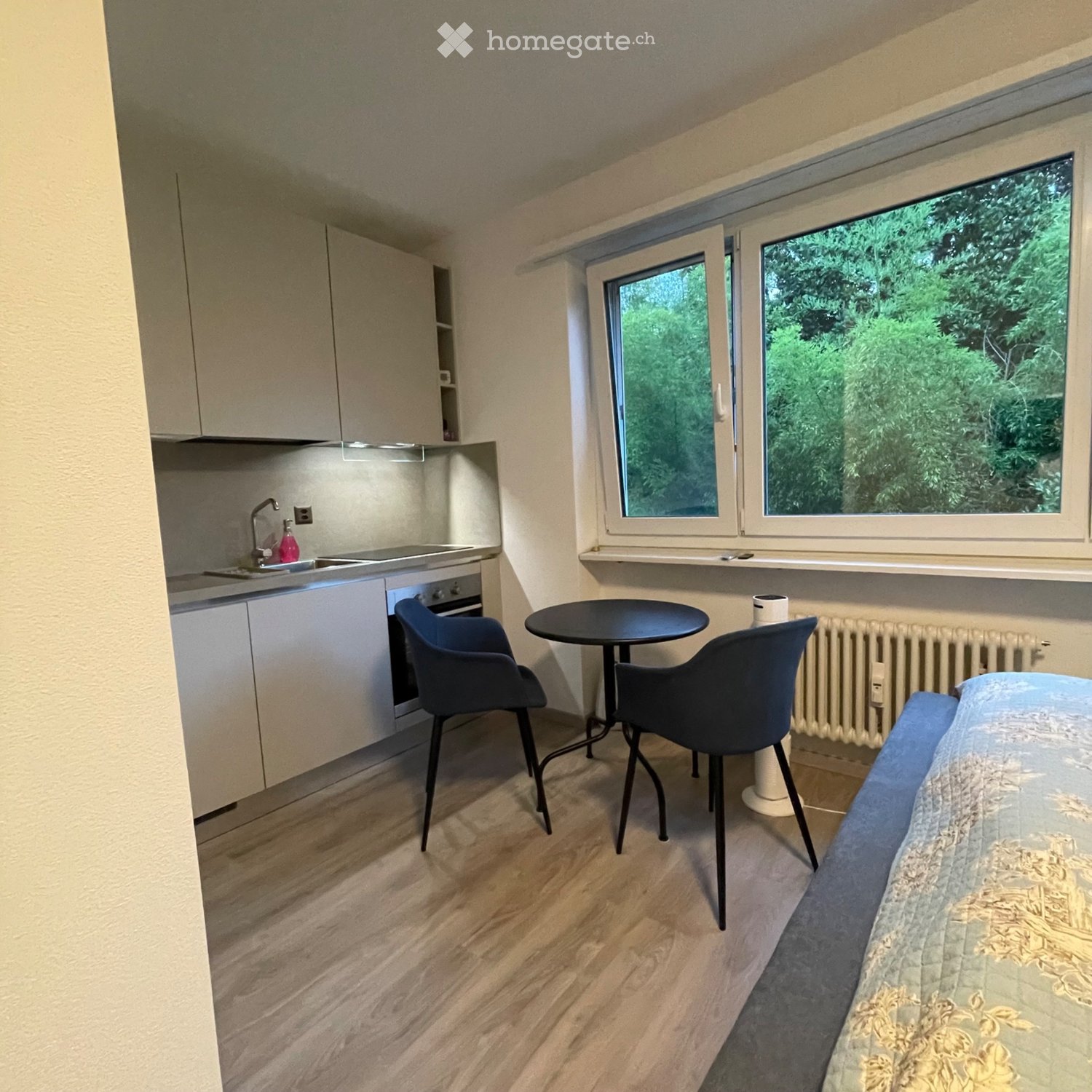 1-Zimmer-Apartment