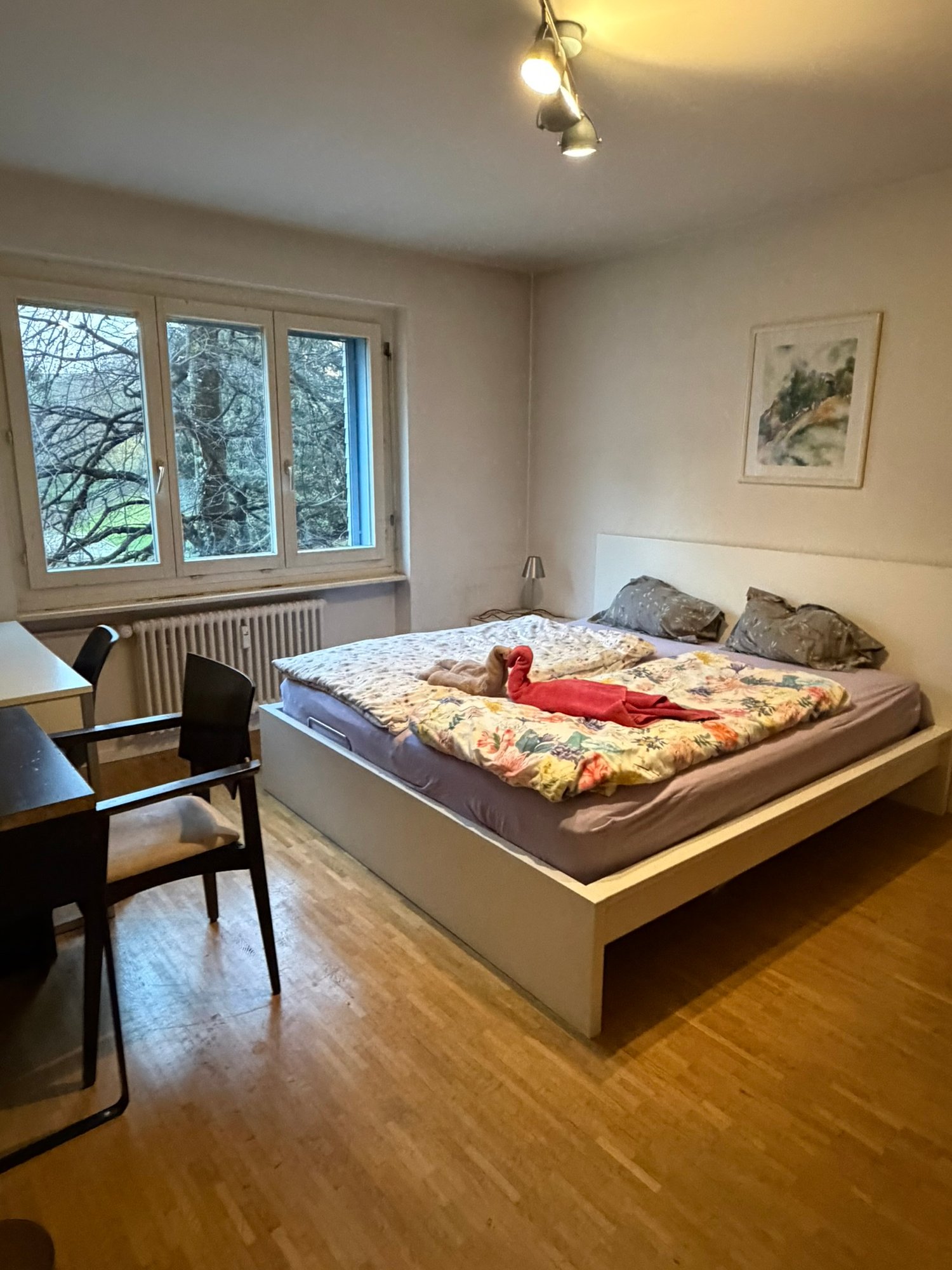 2 ½ Zimmer möblierte Wohnung, Foto 5 von 10