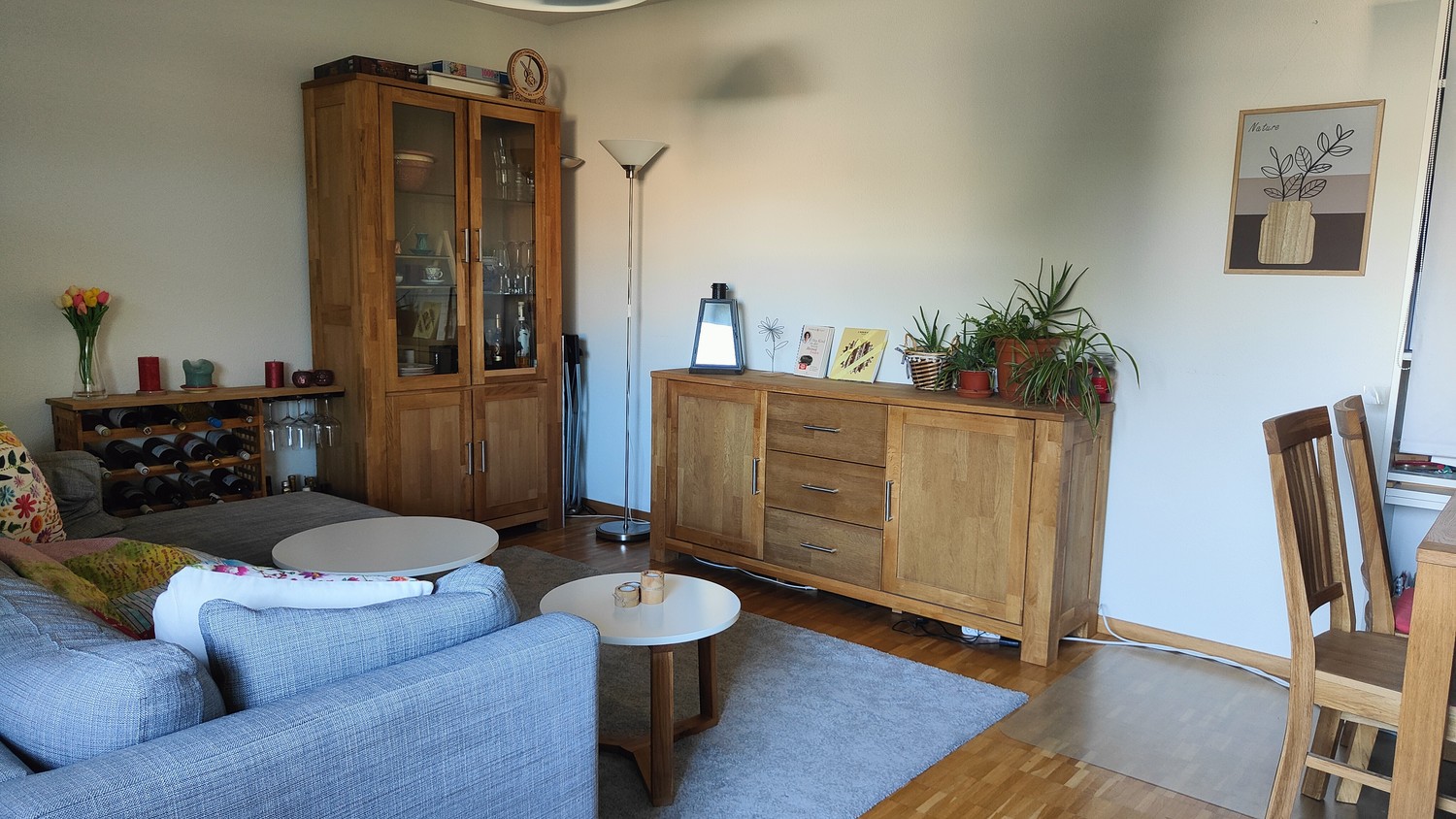 3 ½ rooms apartment