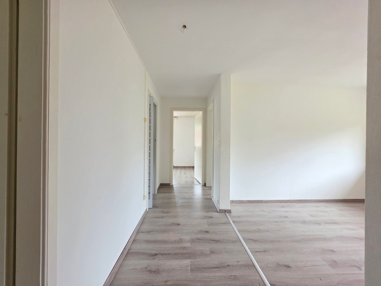 3 ½ Zimmer-Wohnung