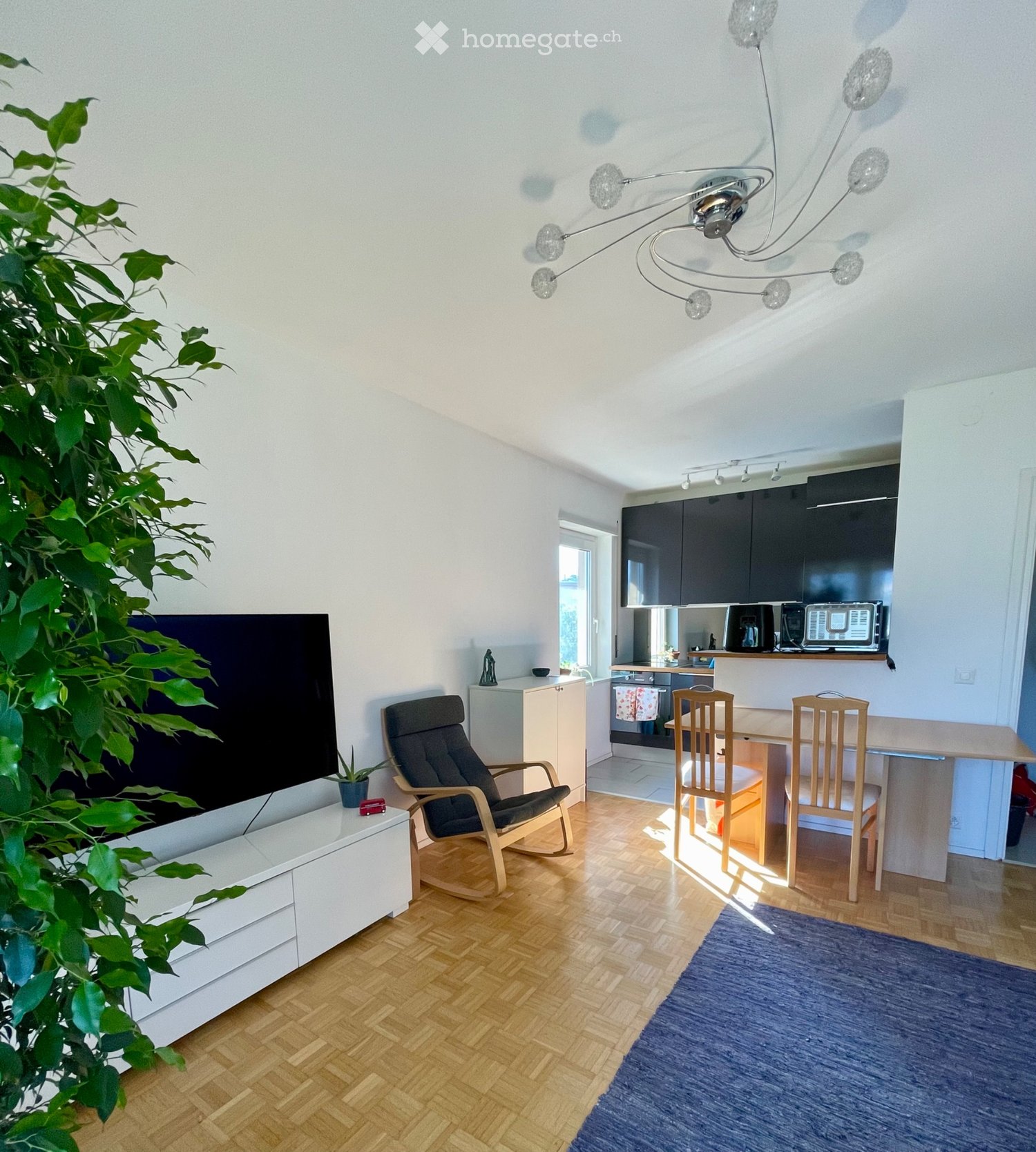 3 ½ rooms apartment