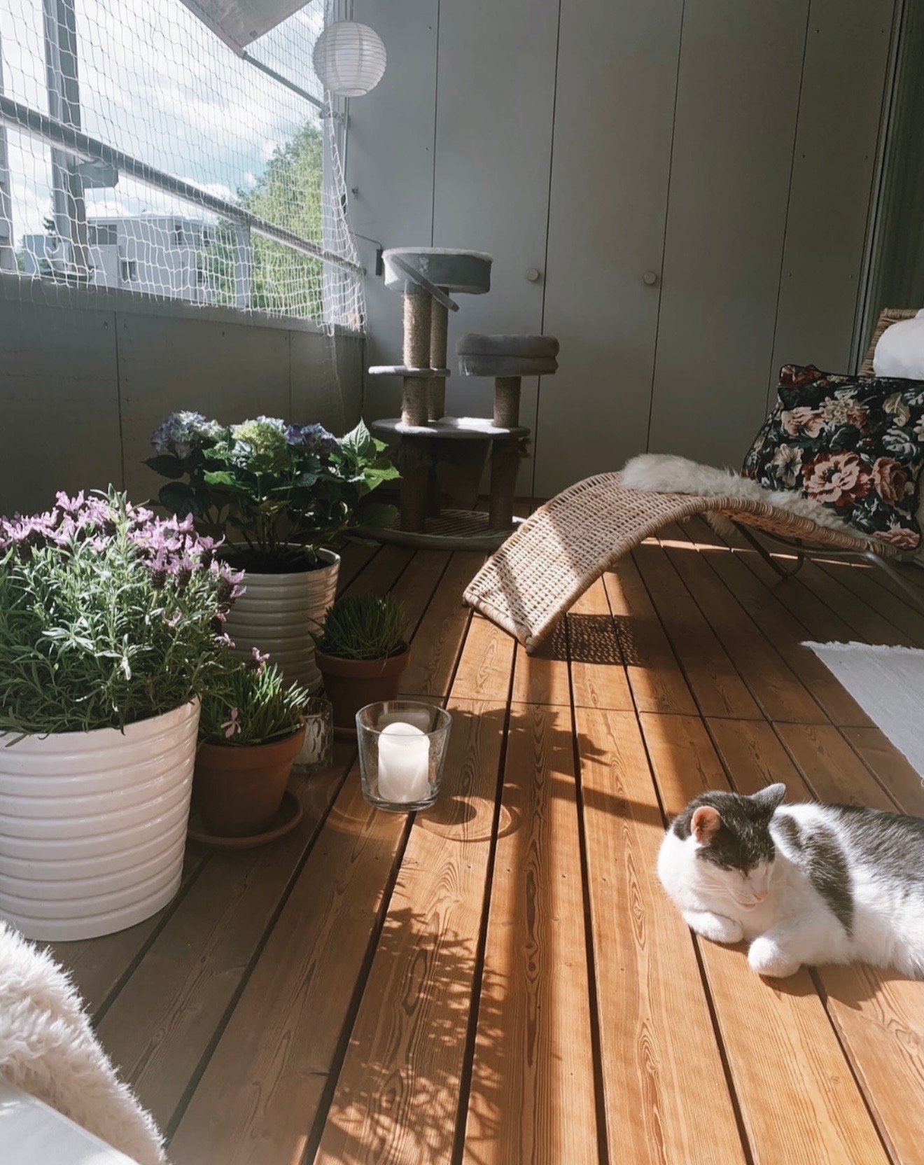 Room in a shared flat