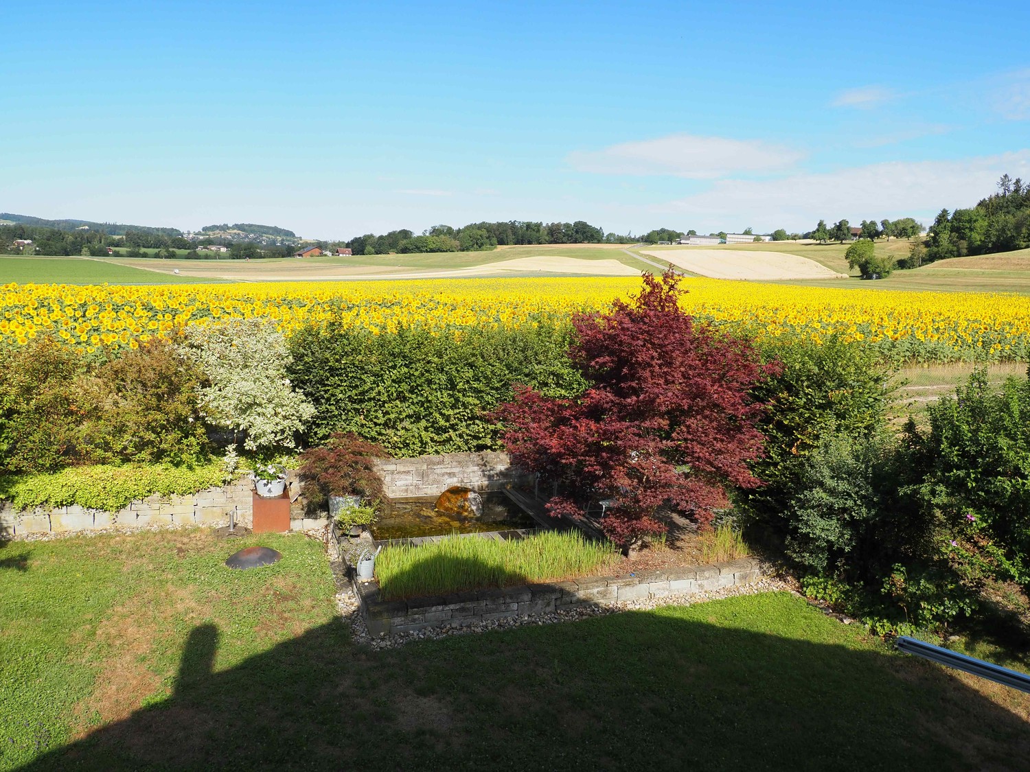 Casa singola con 5 locali, foto 5 di 7