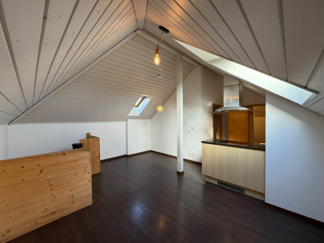 2 ½ rooms duplex