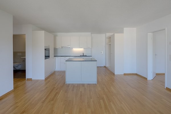 3 ½ pièces appartement attique