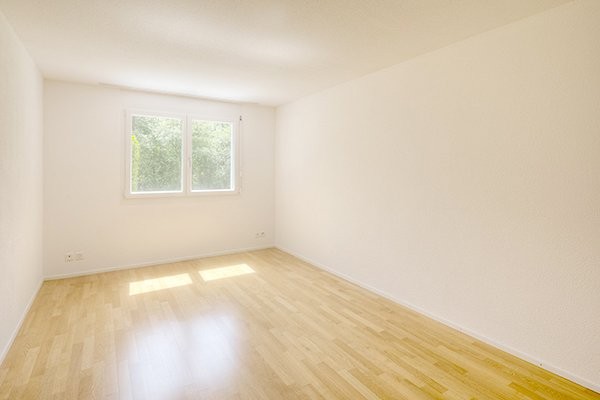 3 ½ pièces appartement attique