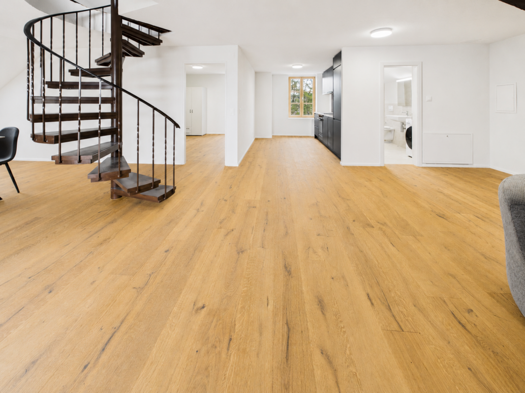 4 ½ rooms duplex
