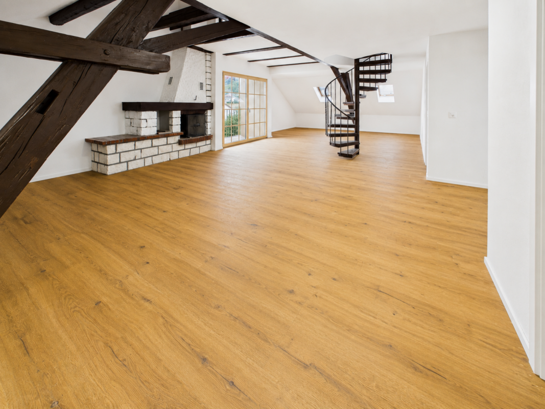 4 ½ rooms duplex