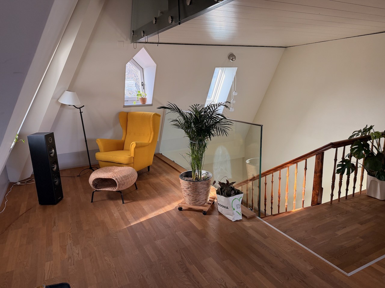 Room in a shared flat