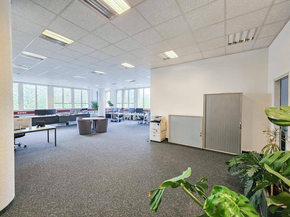 234m² Büro, Foto 3 von 8