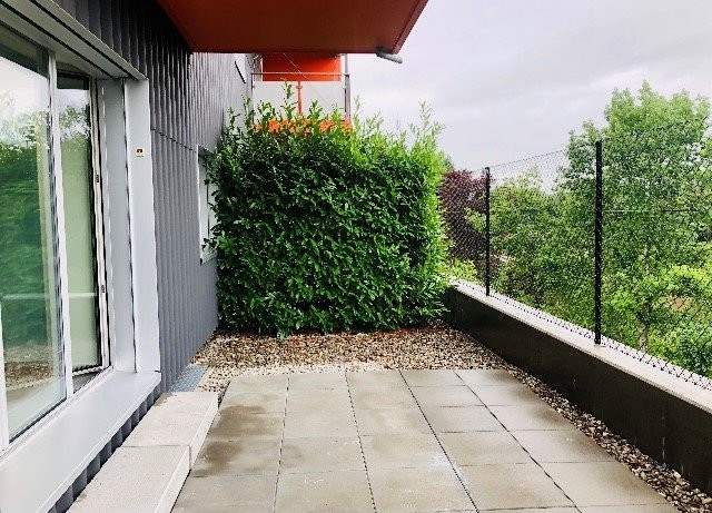 3 ½ Zimmer-Wohnung