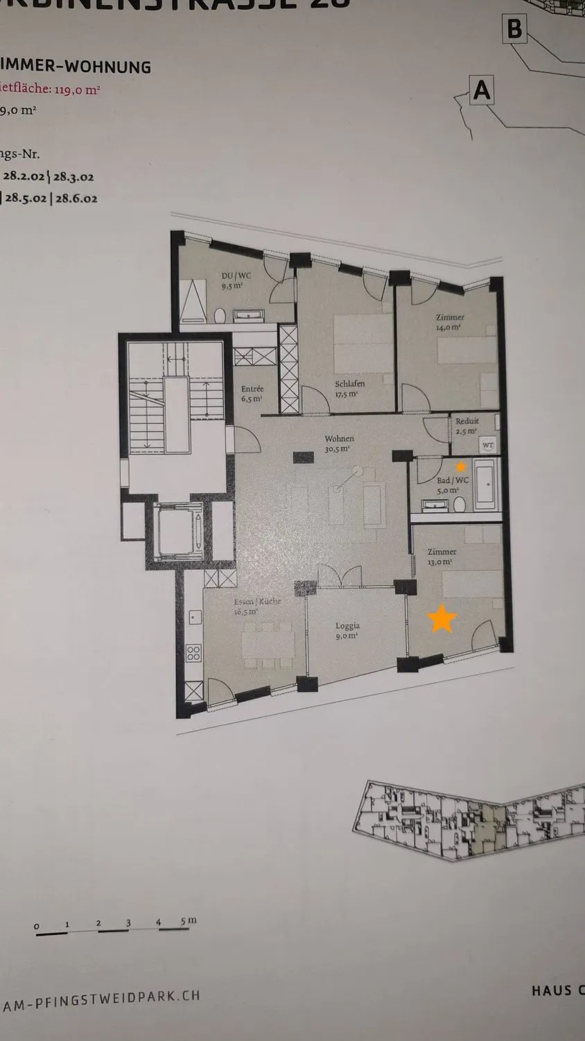 Room in a shared flat