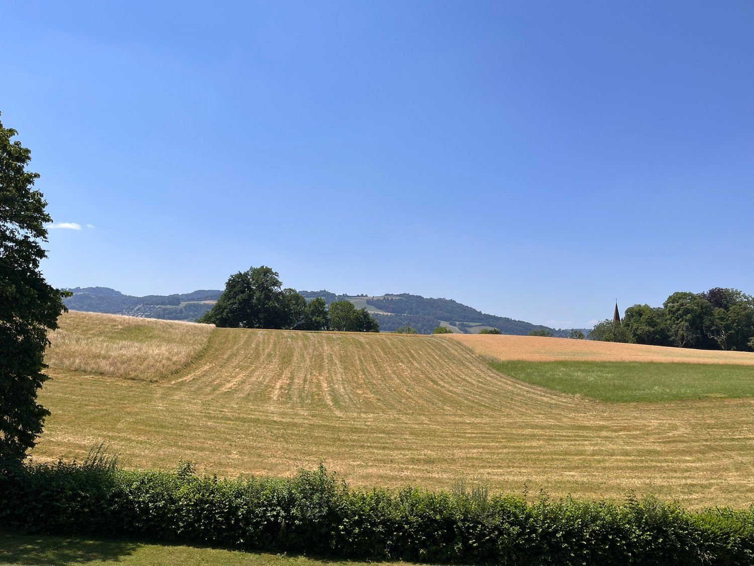 Appartamento di 4 ½ locali
