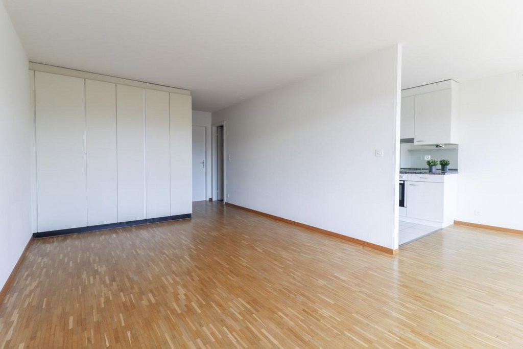 Appartamento di 4 ½ locali