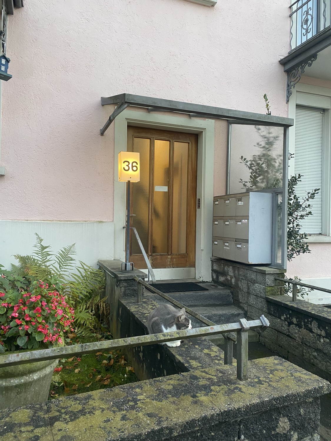 Room in a shared flat