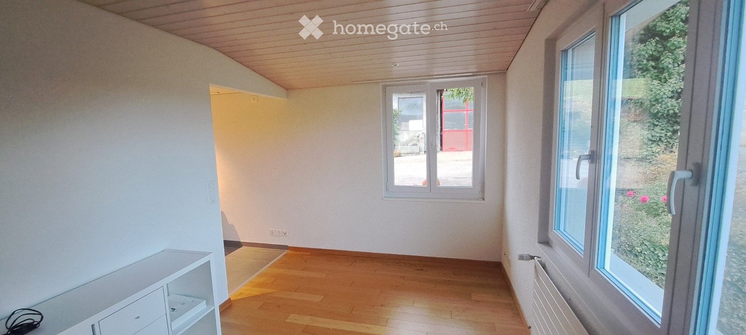 Appartement 1 ½ pièces