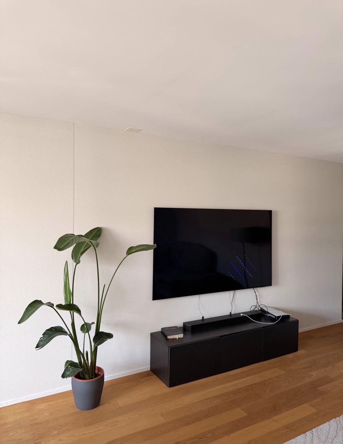 2 ½ rooms apartment, Foto 4 von 7