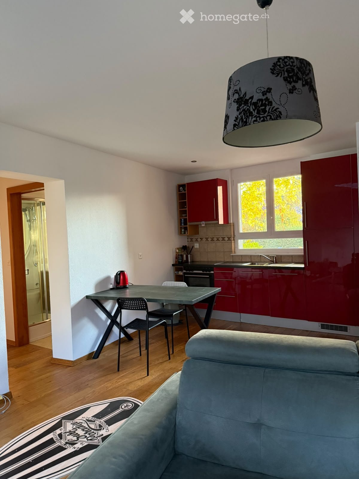 3 ½ Zimmer Wohnung